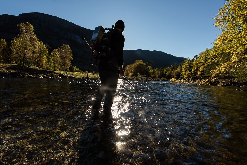 12108988_1042235809155558_1674933453404380142_n