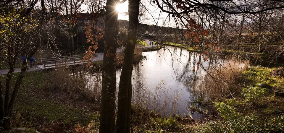 sandveparken sandnes